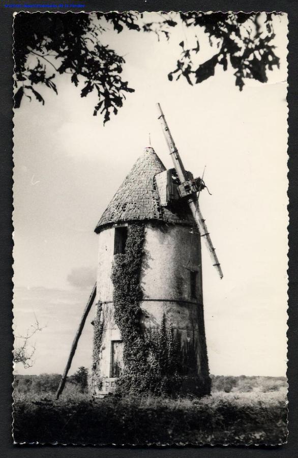 Moulin à vent le champ du trail Vila Saint-Cyr-des-Gats Exterior foto