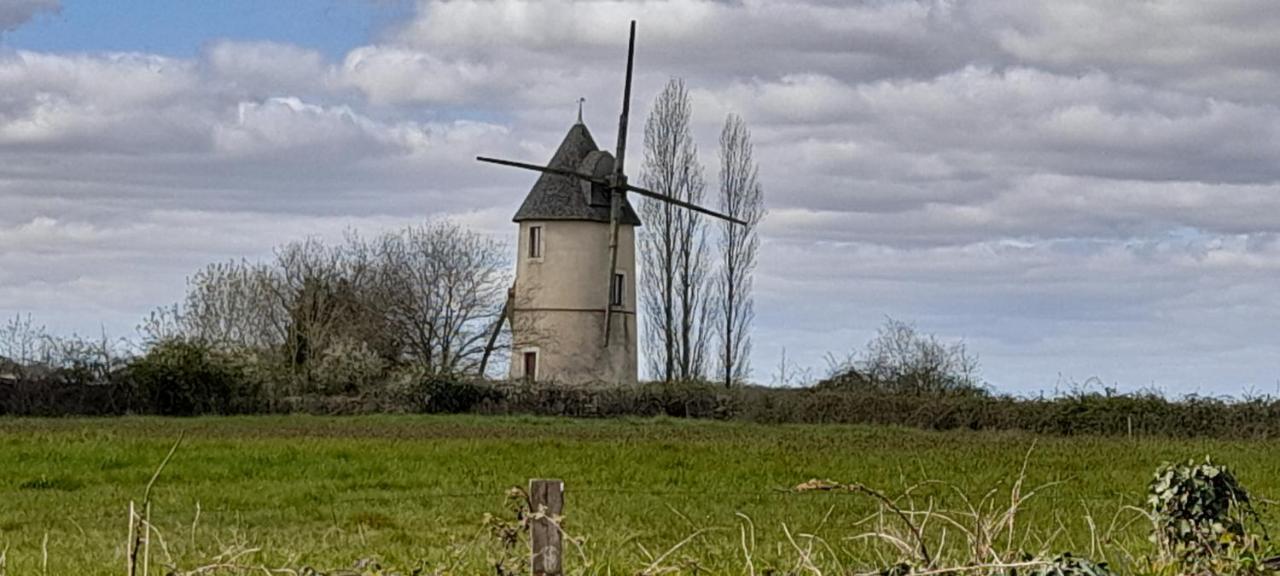 Moulin à vent le champ du trail Vila Saint-Cyr-des-Gats Exterior foto